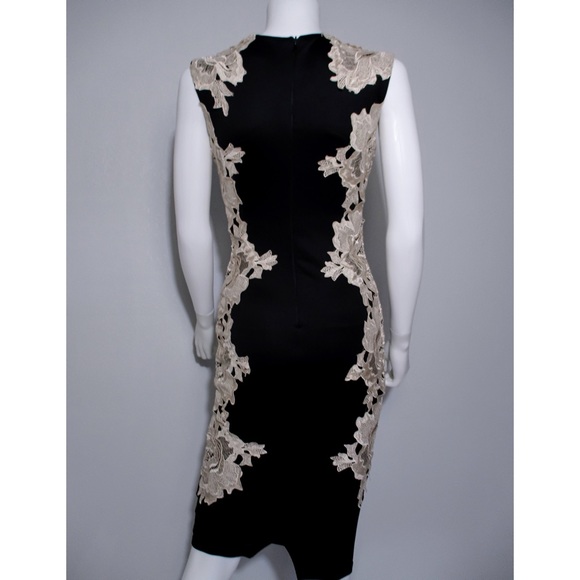 AX Paris Black Bodycon w/ Cream Lace Panel - Picture 9 of 16